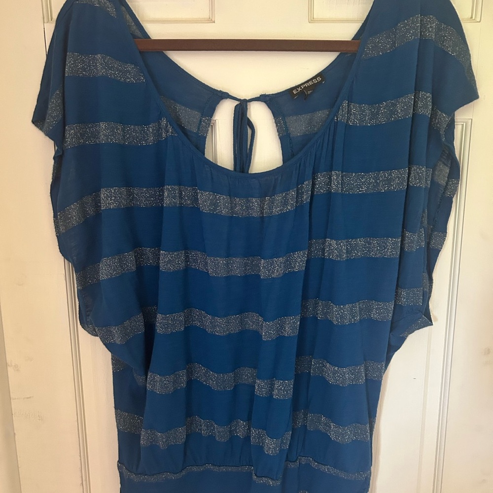 Express Blue and Silver Striped Blouse